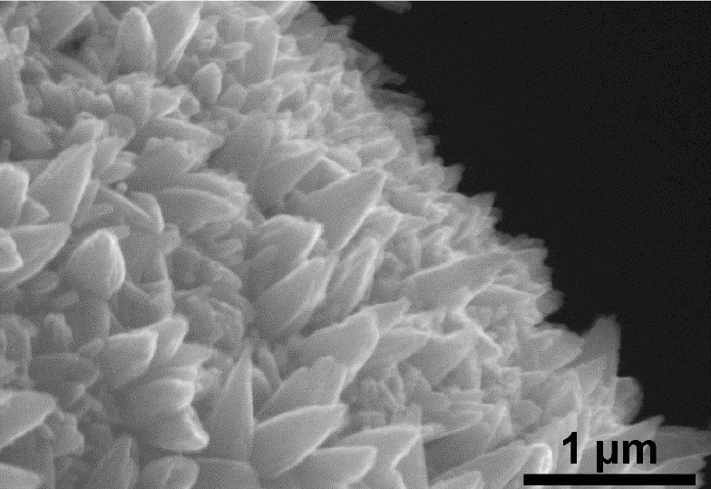 Preparation and application of au NPs/ZnO nanocone array/graphene foam electrode