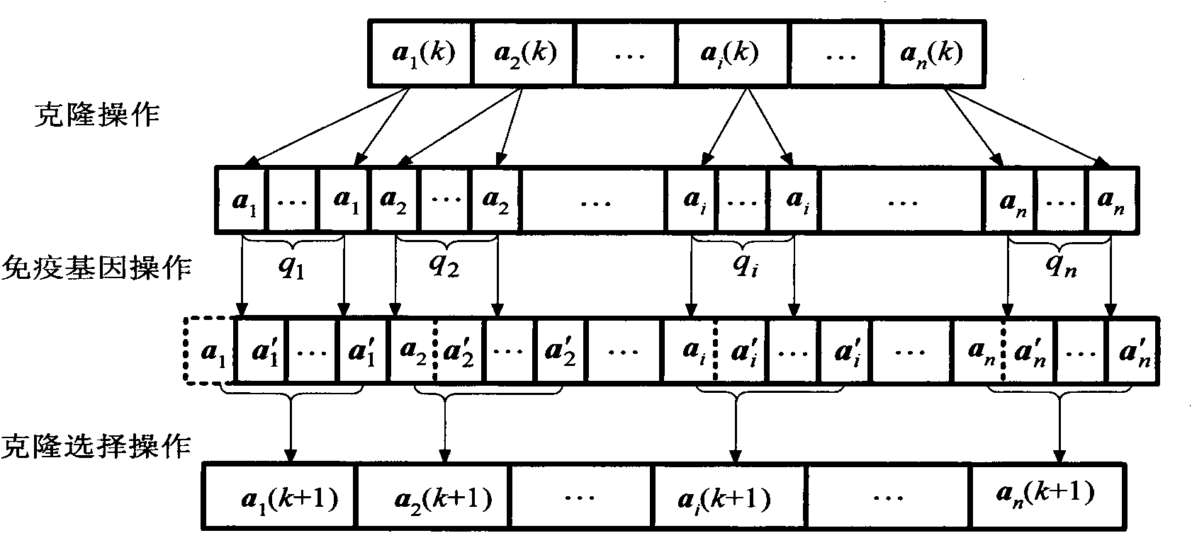 Method for splitting images based on clustering of immunity sparse spectrums