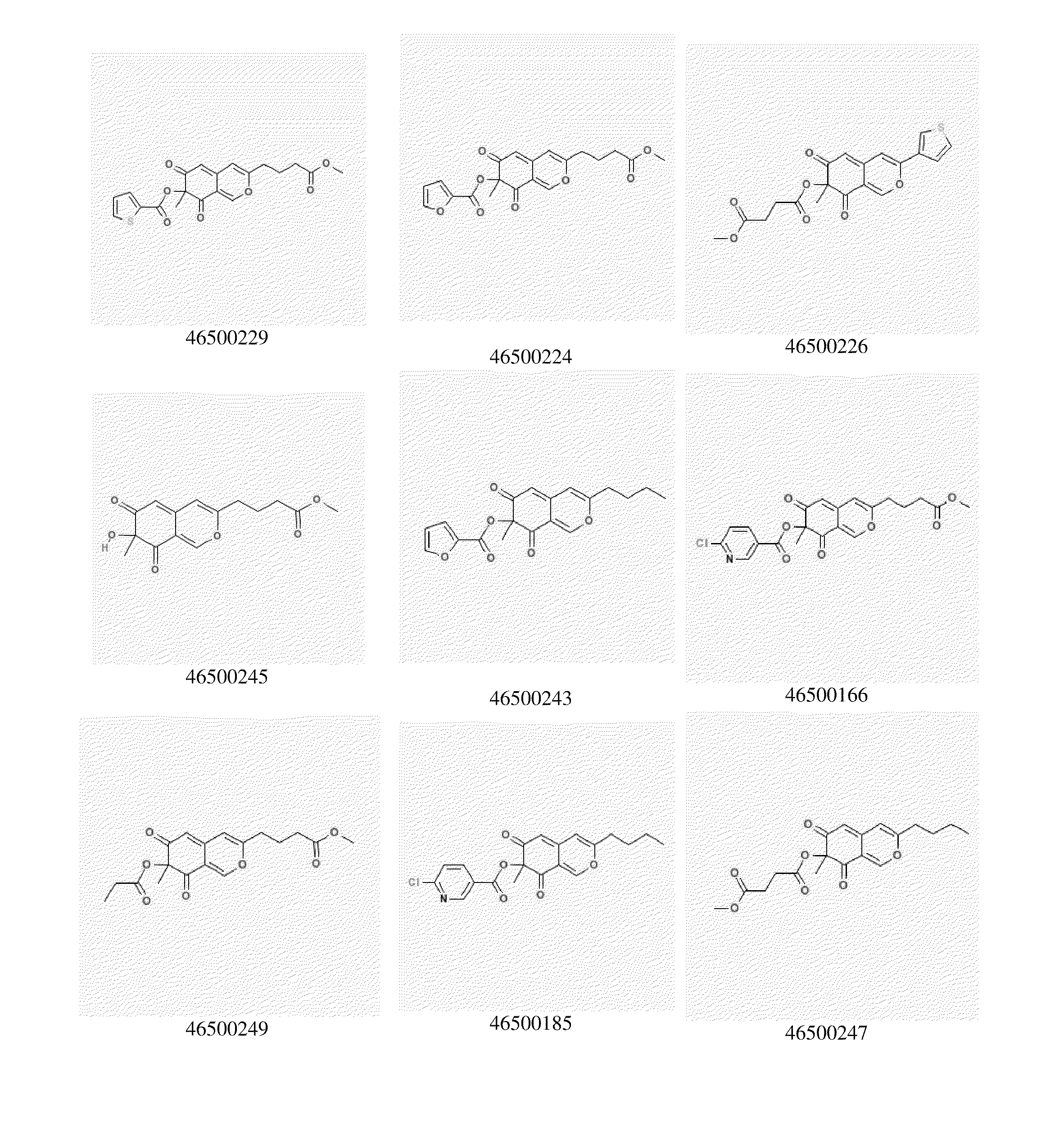 Compounds for modulating RNA binding proteins and uses therefor