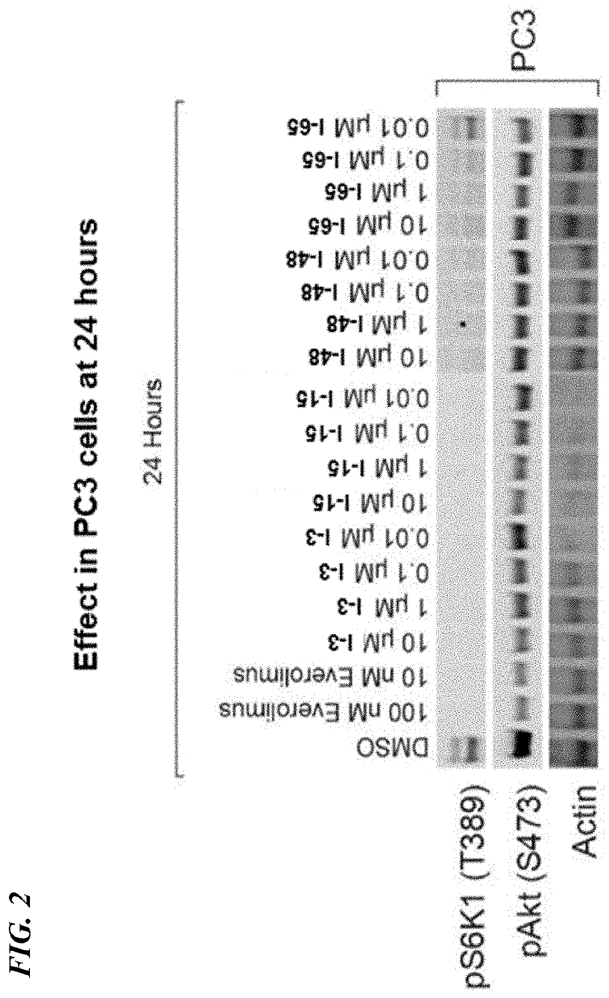 Rapamycin analogs and uses thereof