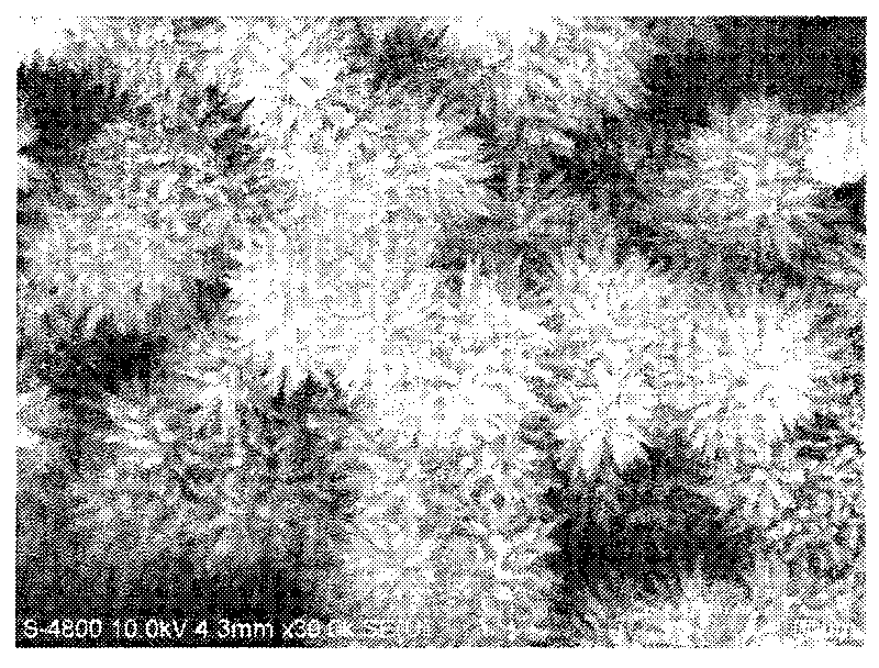 Method for preparing urchin-shaped hydroxyferric oxide and urchin-shaped ferric oxide nano material