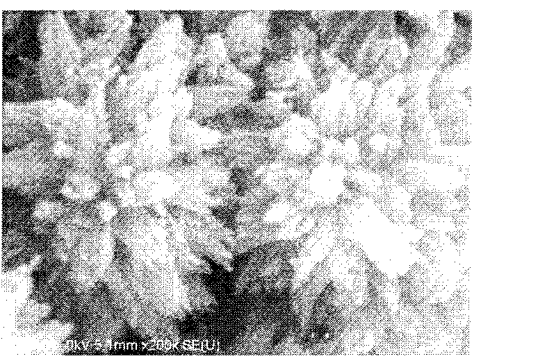 Method for preparing urchin-shaped hydroxyferric oxide and urchin-shaped ferric oxide nano material