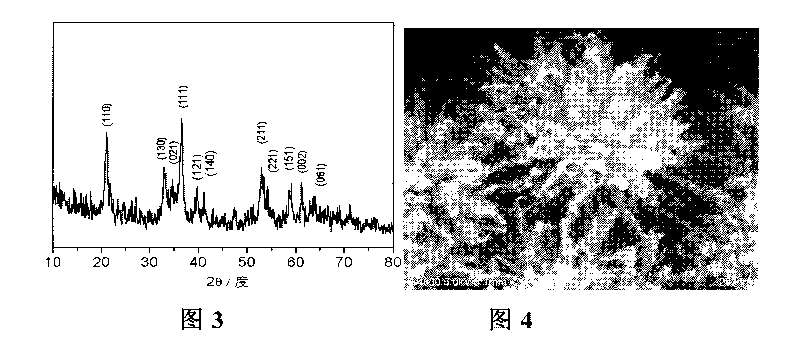 Method for preparing urchin-shaped hydroxyferric oxide and urchin-shaped ferric oxide nano material