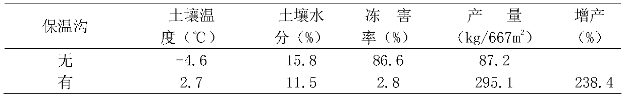 A method for preventing and controlling freezing damage of Cistanche piculosum