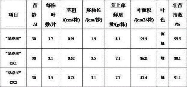 Zucchini Germination and High Efficiency Cultivation Method