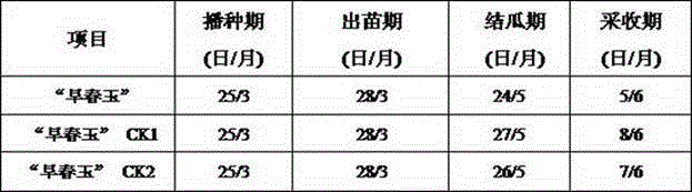 Zucchini Germination and High Efficiency Cultivation Method