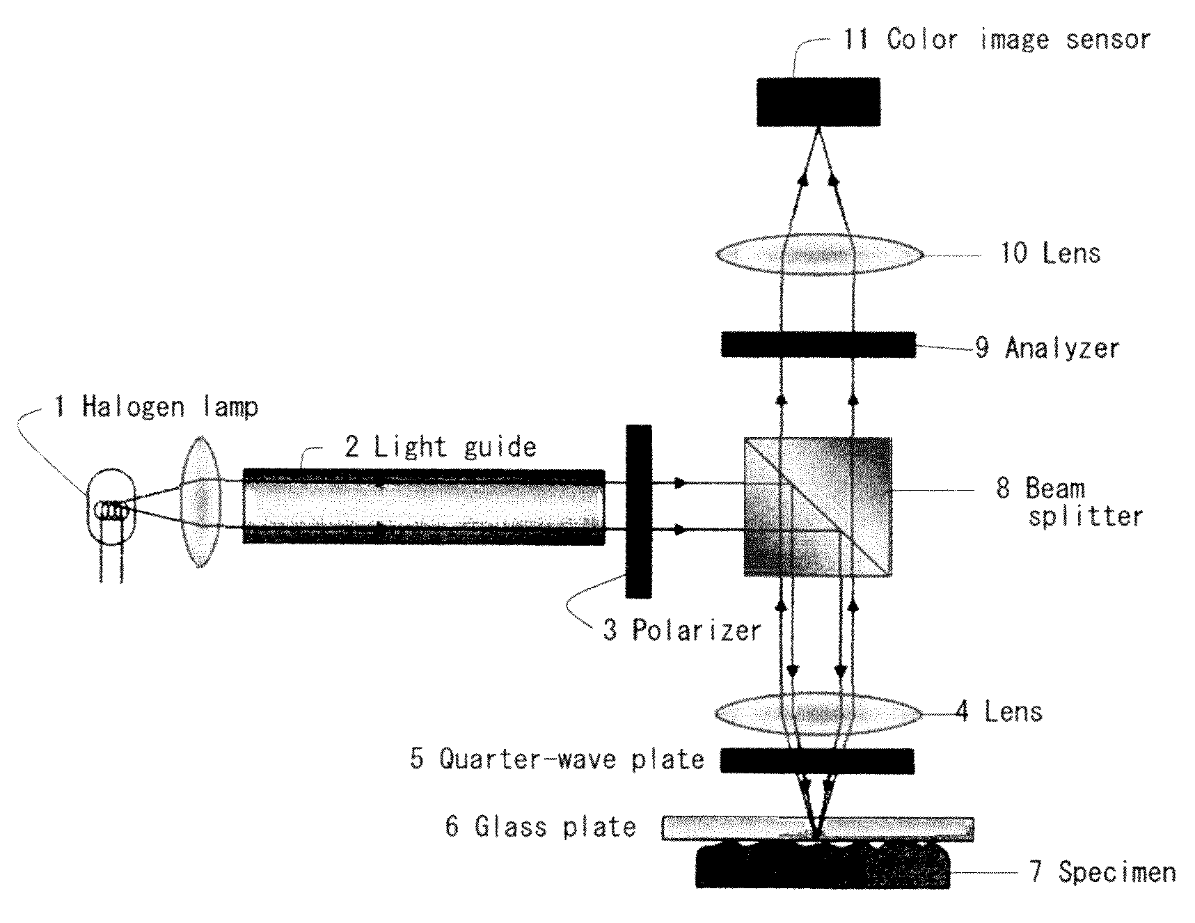 Contact area measurement device and method for measuring contact area