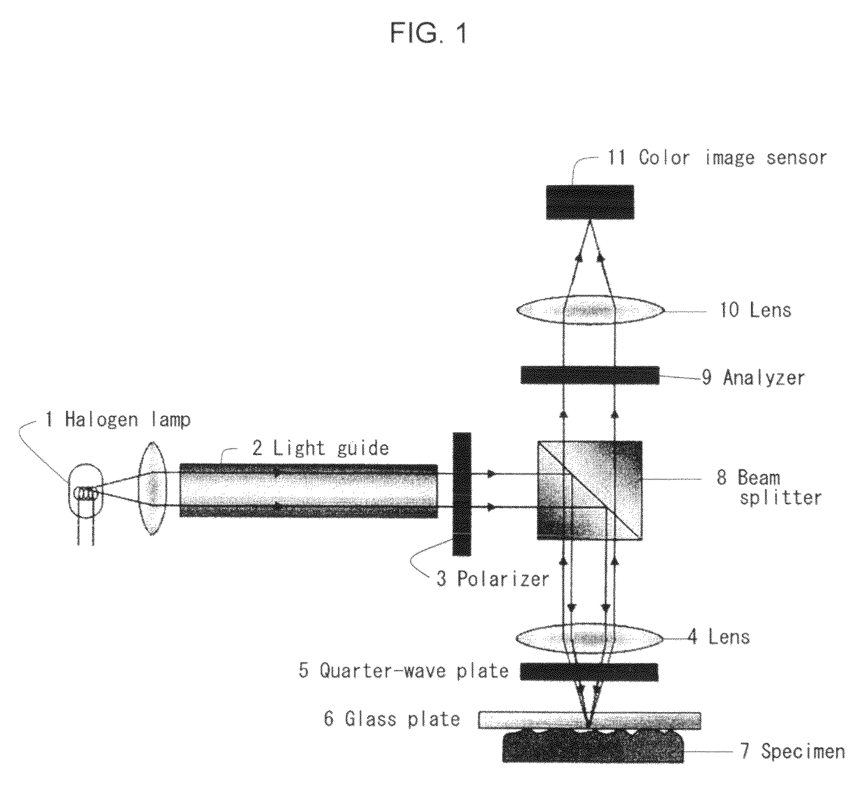 Contact area measurement device and method for measuring contact area