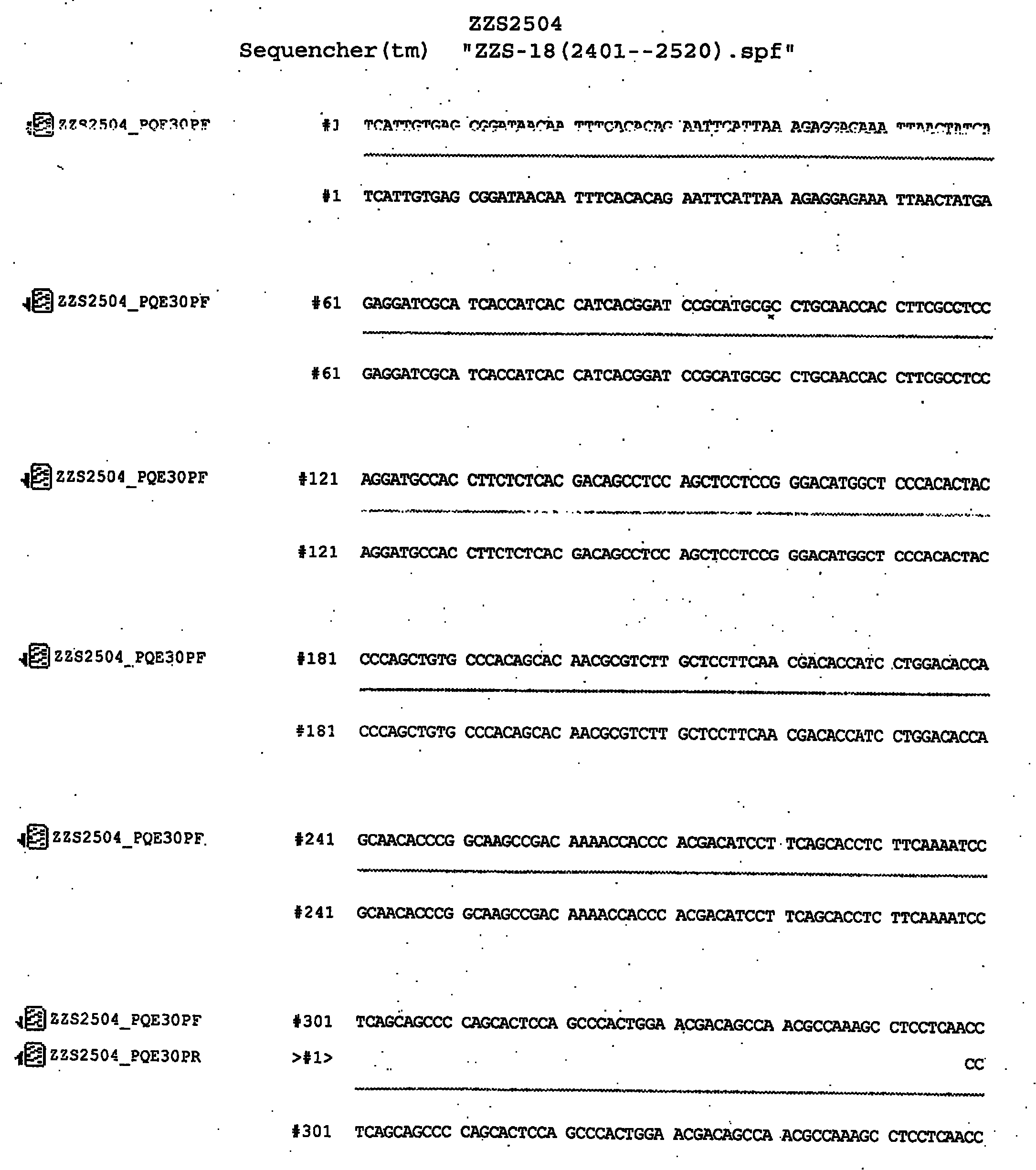 Chicken alpha interferon/interleukin 2 chimeric gene