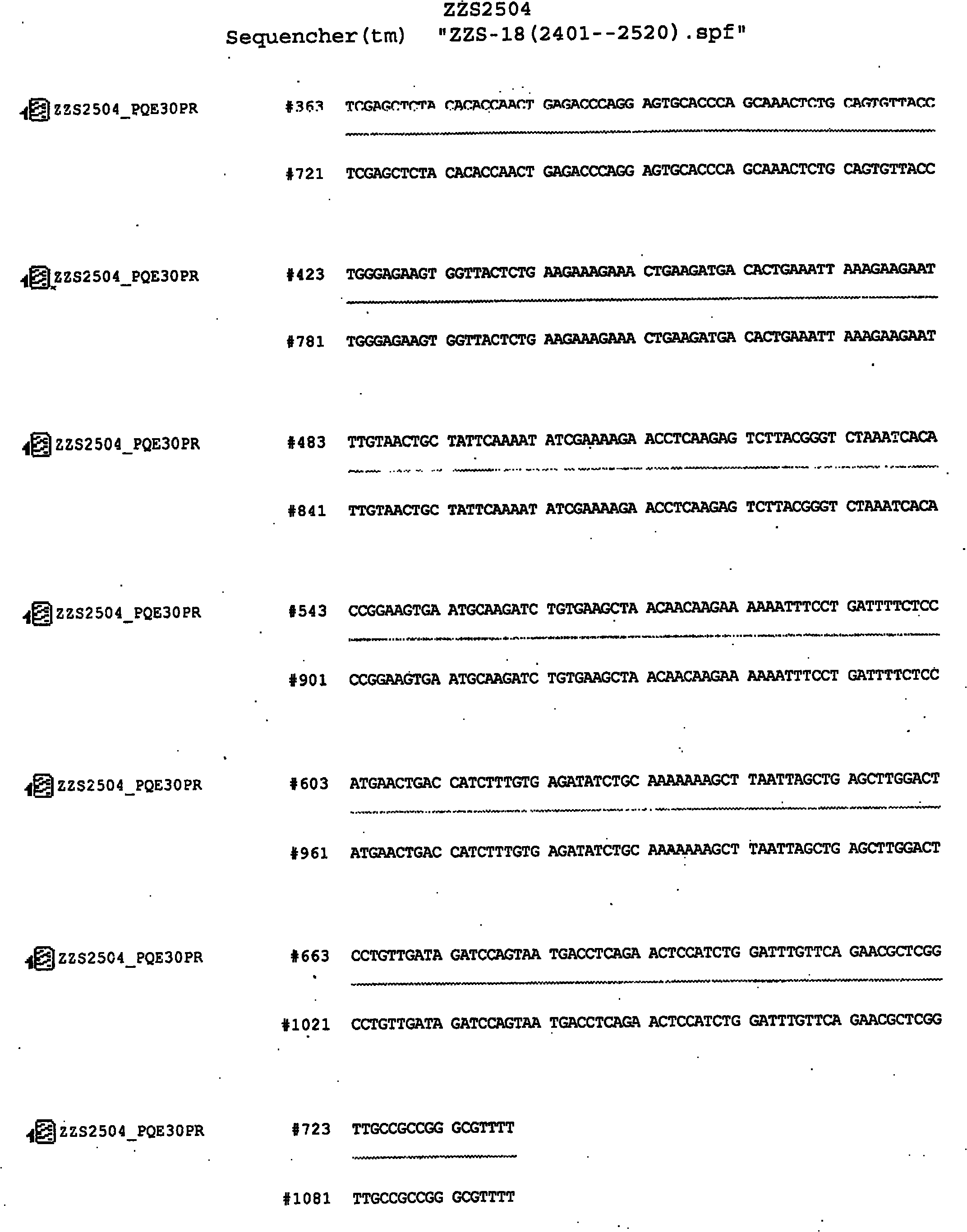 Chicken alpha interferon/interleukin 2 chimeric gene