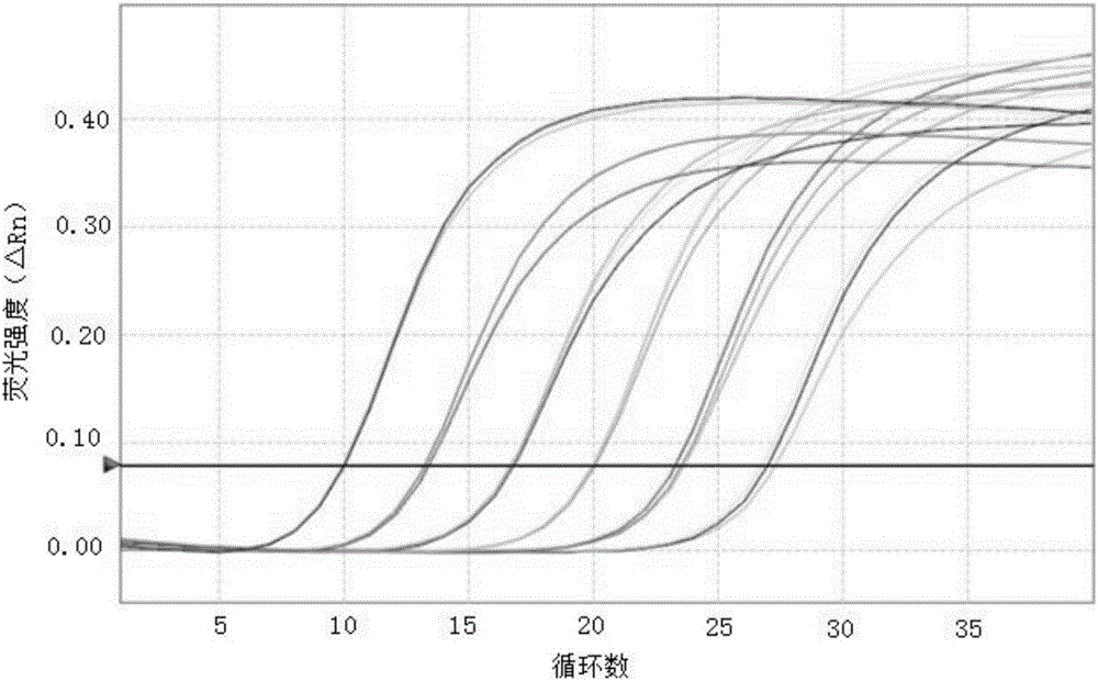 Method for preparing cfDNA library qPCR quantification standard substance