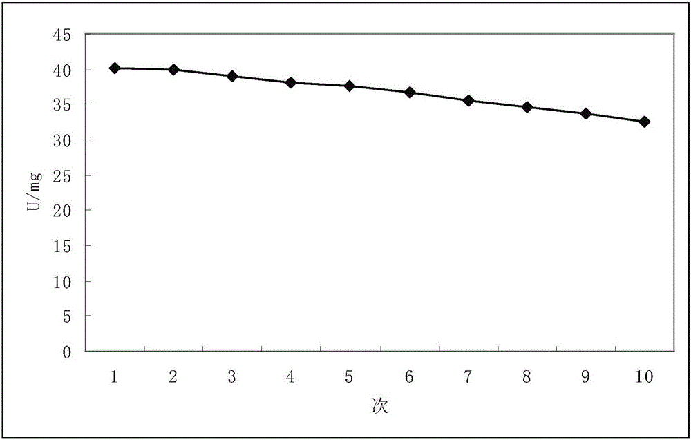 Biotransformation method of agmatine sulfate