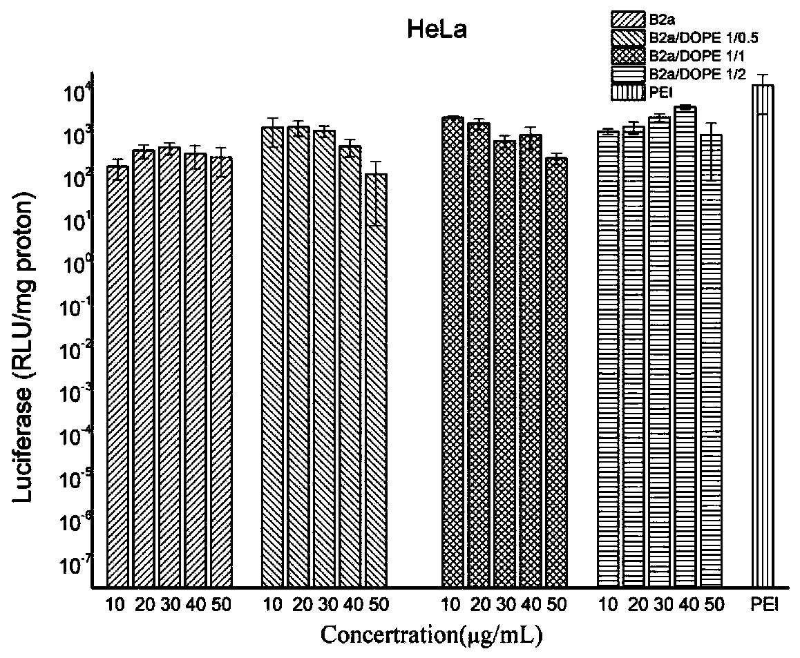 Degradable polymer based on ring opening polymerization of valerolactone derivative and production method and application thereof