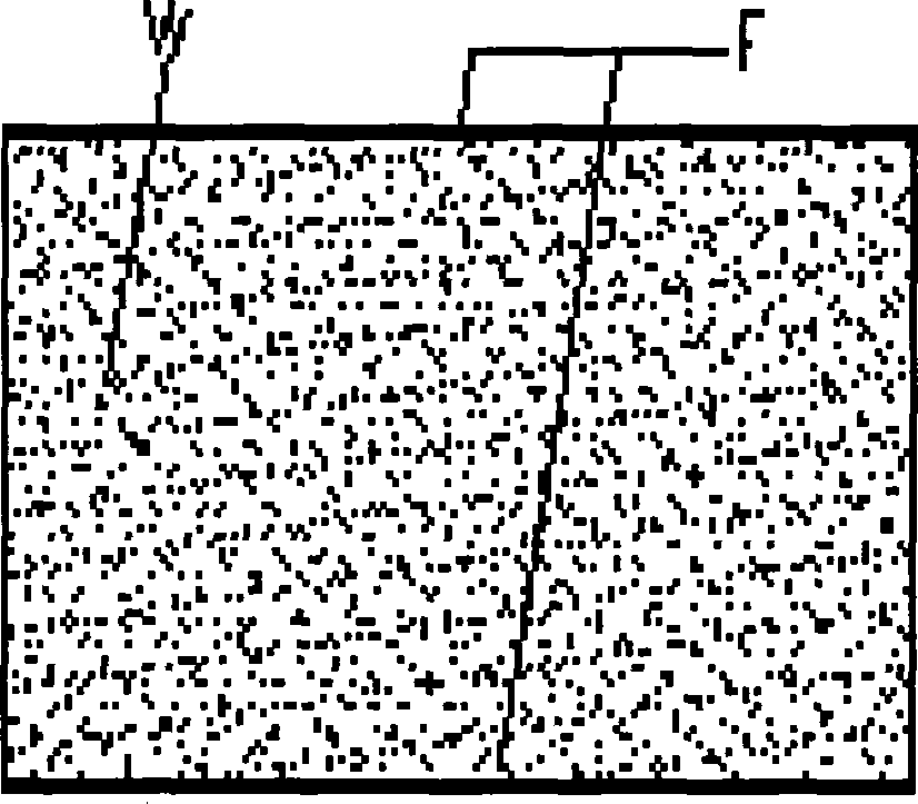 Process for producing glass fiber reinforced triploid Chinese white poplar wood composite material (three-layer)