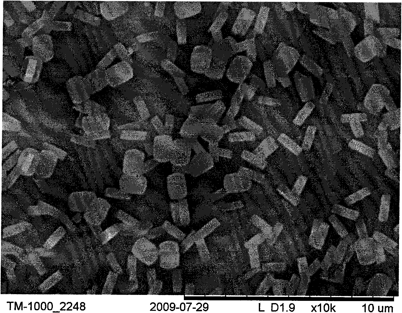 Method for synthesizing oriented MFI type molecular sieve membrane by means of microwave heating