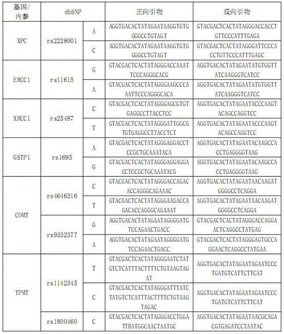 Multi-gene detection kit for guiding administration of platinum drugs and detection method of multi-gene detection kit