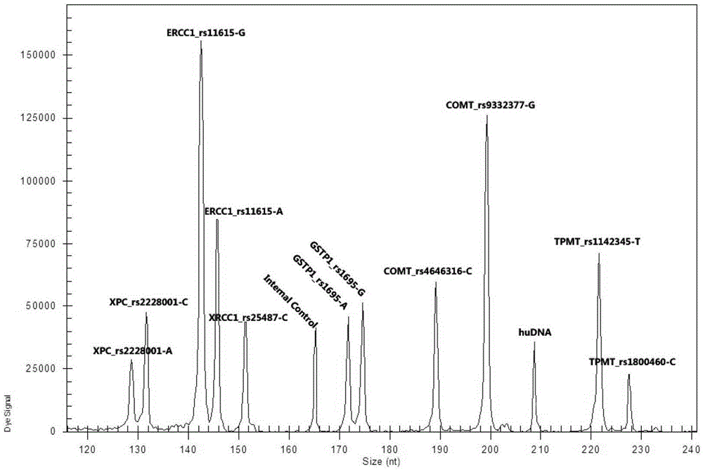 Multi-gene detection kit for guiding administration of platinum drugs and detection method of multi-gene detection kit