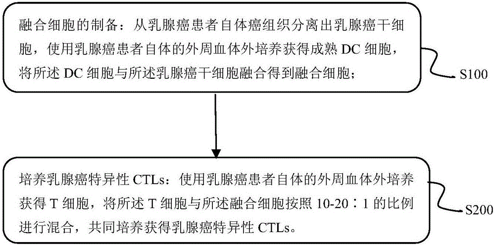 Preparing method of breast cancer specificity CTLs