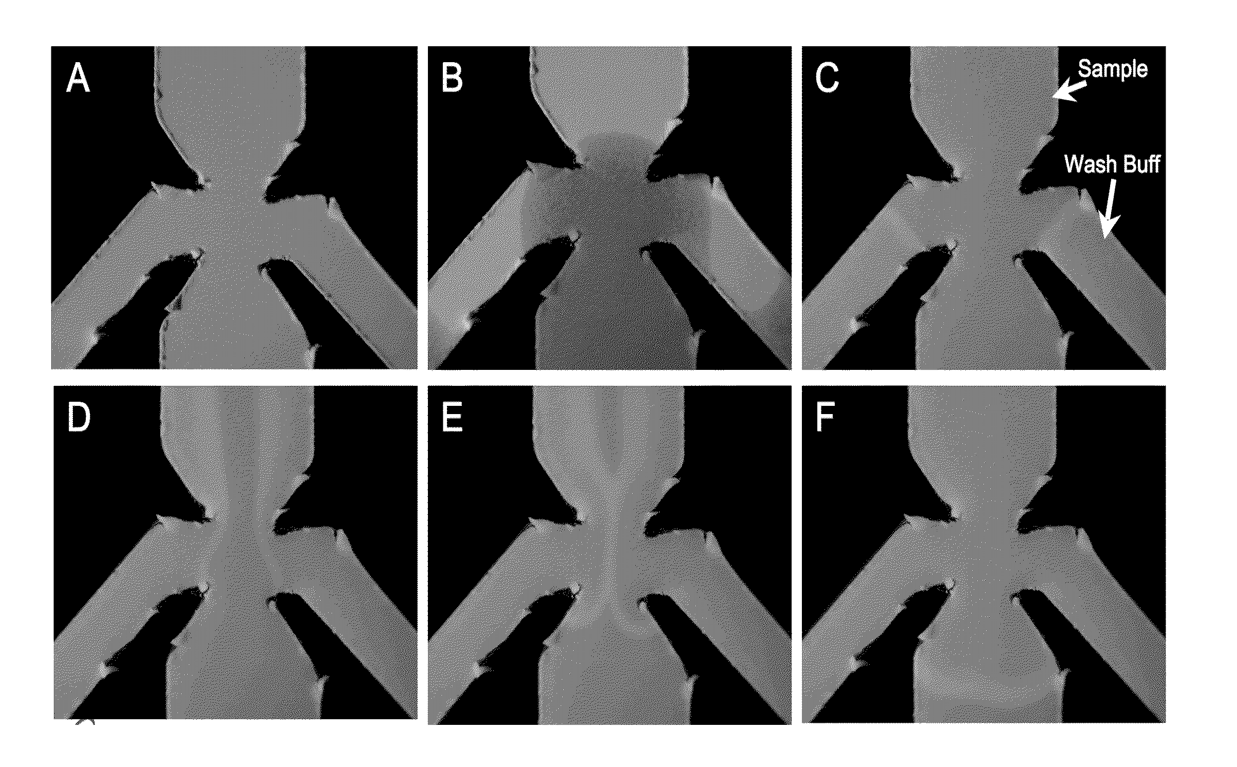 Highly Simplified Lateral Flow-Based Nucleic Acid Sample Preparation and Passive Fluid Flow Control