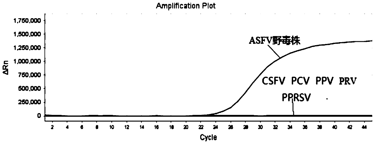 Real-time fluorescent PCR (polymerase chain reaction) detection primer probe set, kit and method for African swine fever virus CD2V gene