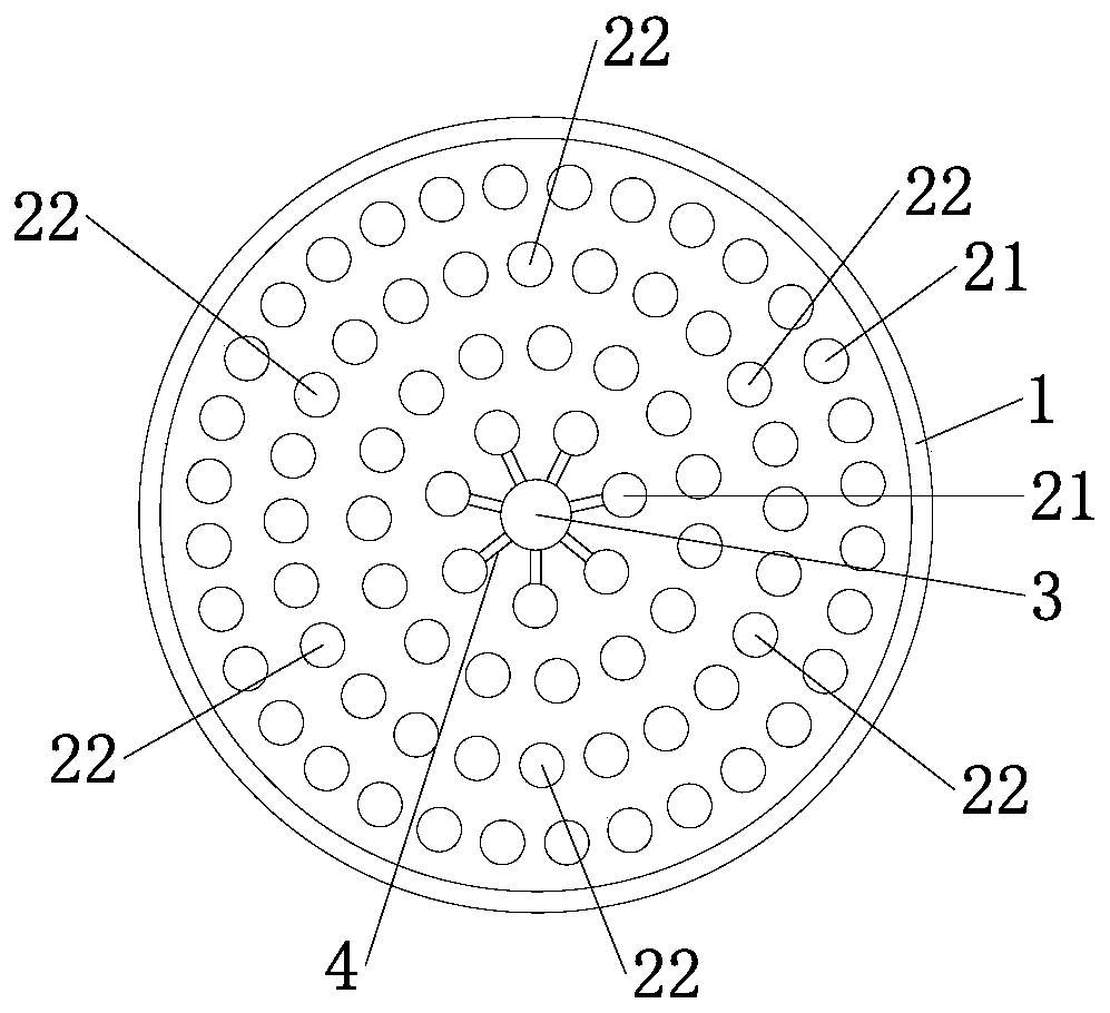 Anoectochilus roxburghii (Wall.) Lindl. culture method capable of improving drying rate