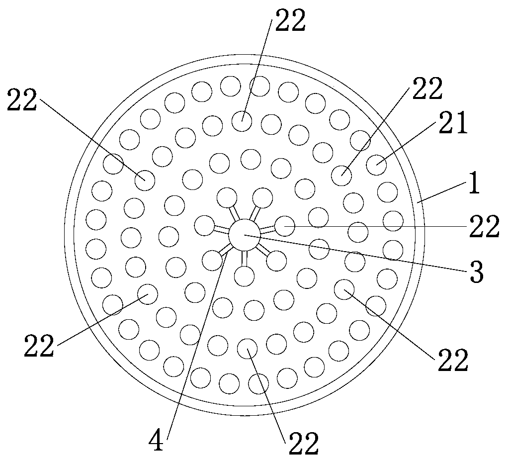 Anoectochilus roxburghii (Wall.) Lindl. culture method capable of improving drying rate