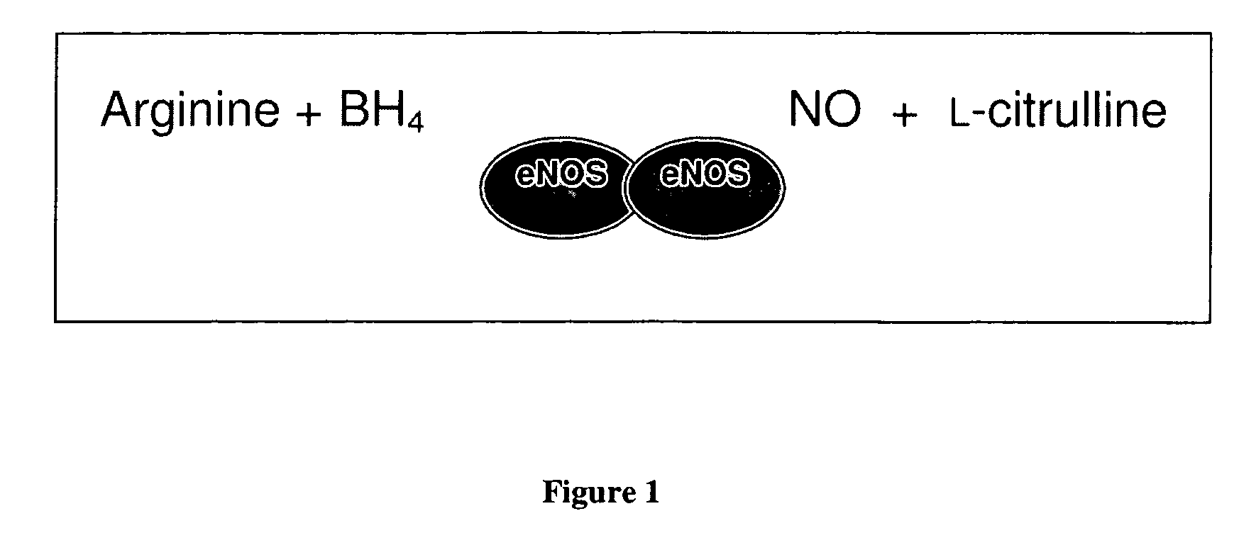 Methods and compositions for the treatment of vascular disease