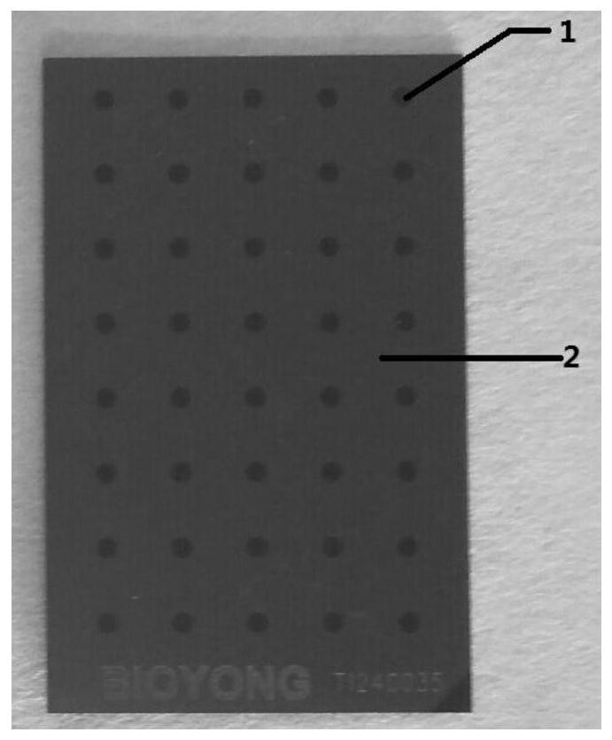 A Universal Chip for Detection of Proteins and Nucleic Acids by Time-of-Flight Mass Spectrometry