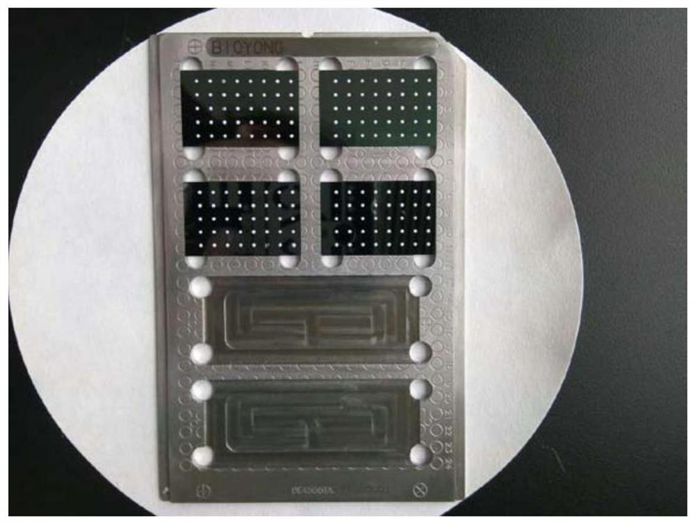 A Universal Chip for Detection of Proteins and Nucleic Acids by Time-of-Flight Mass Spectrometry