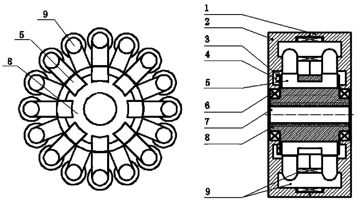 A switched reluctance motor module and motor