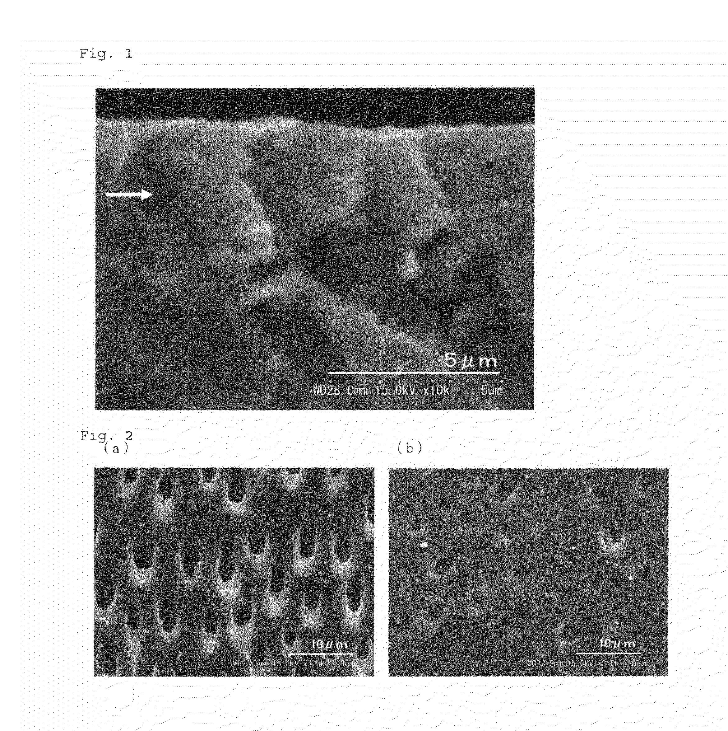 Dentinal tubule sealant and method for producing the same