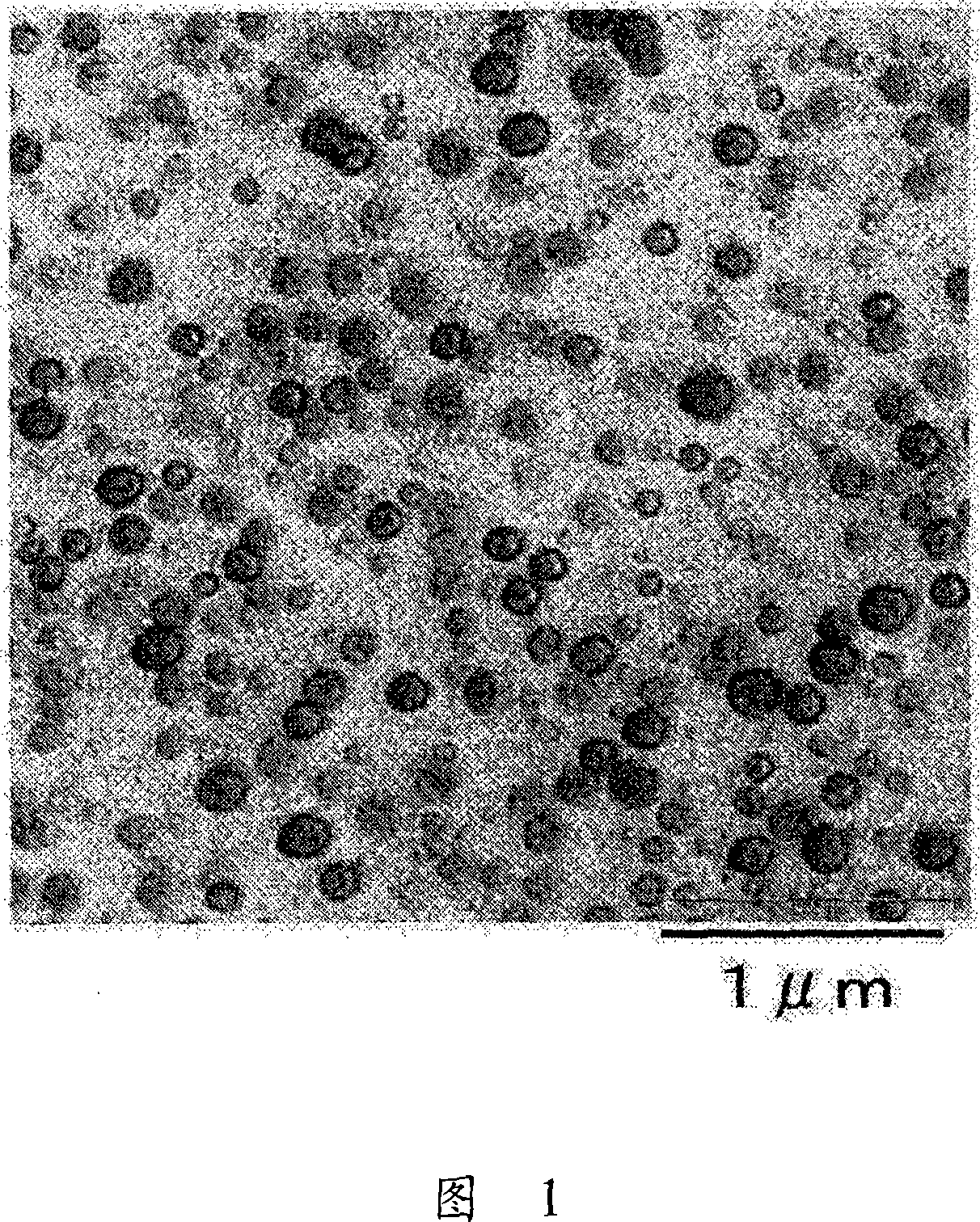 Water coating composition