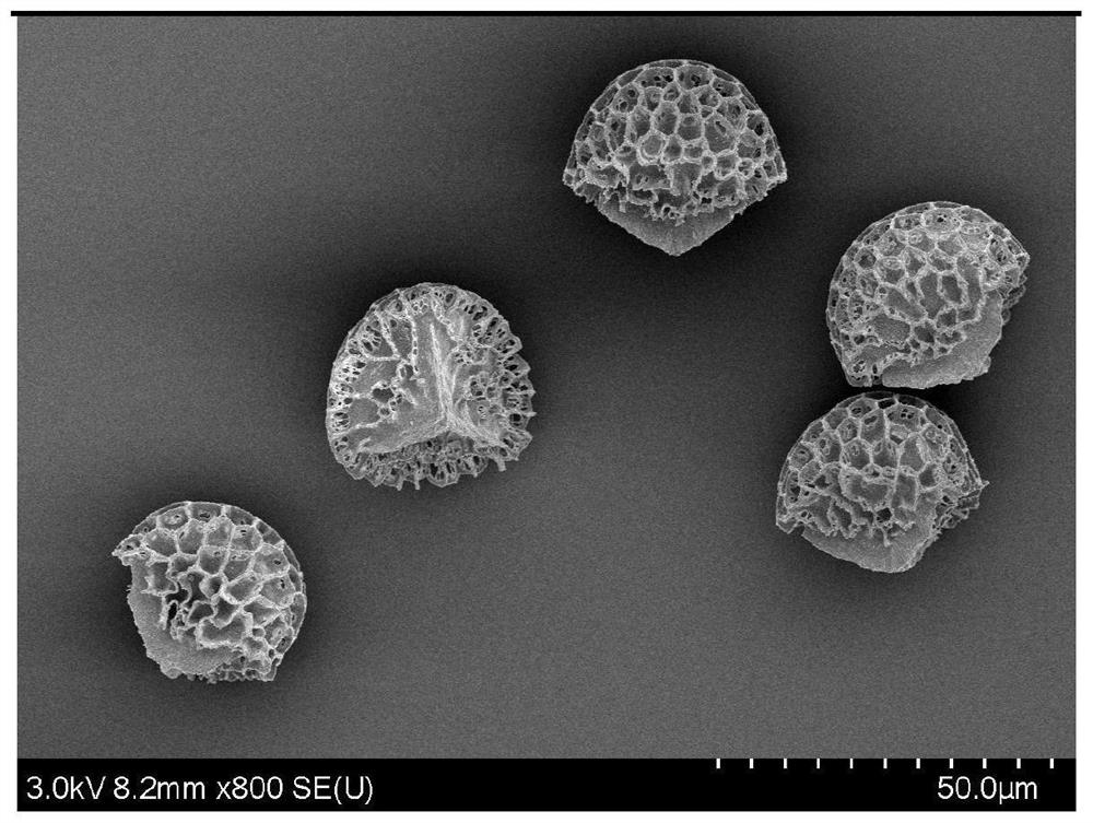 Pesticide carrier based on plant sporopollen and application thereof