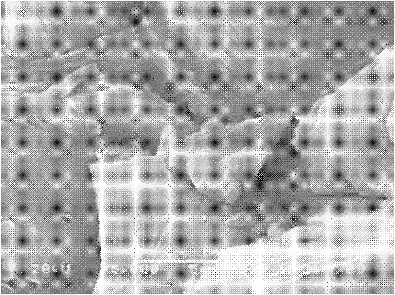 Method for removing sulfur in petroleum coke and desulfurizer thereof