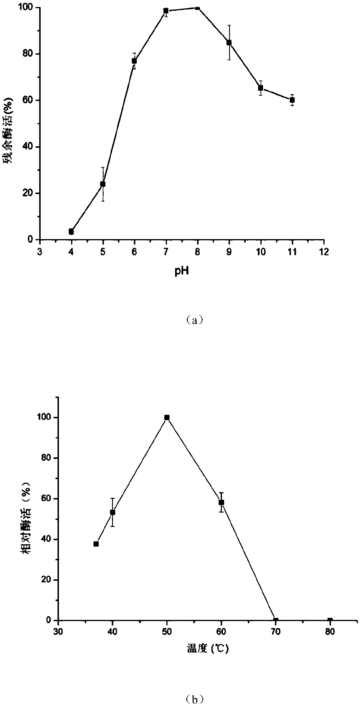 Isolation and purification of a hydrolyzed milk allergy source beta-lactoglobulin protease