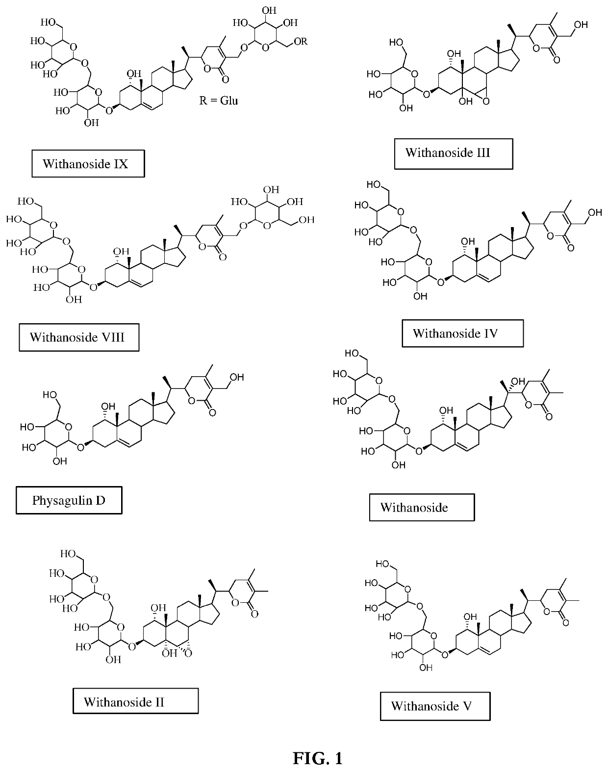 Withania somnifera composition, method of preparation and use thereof