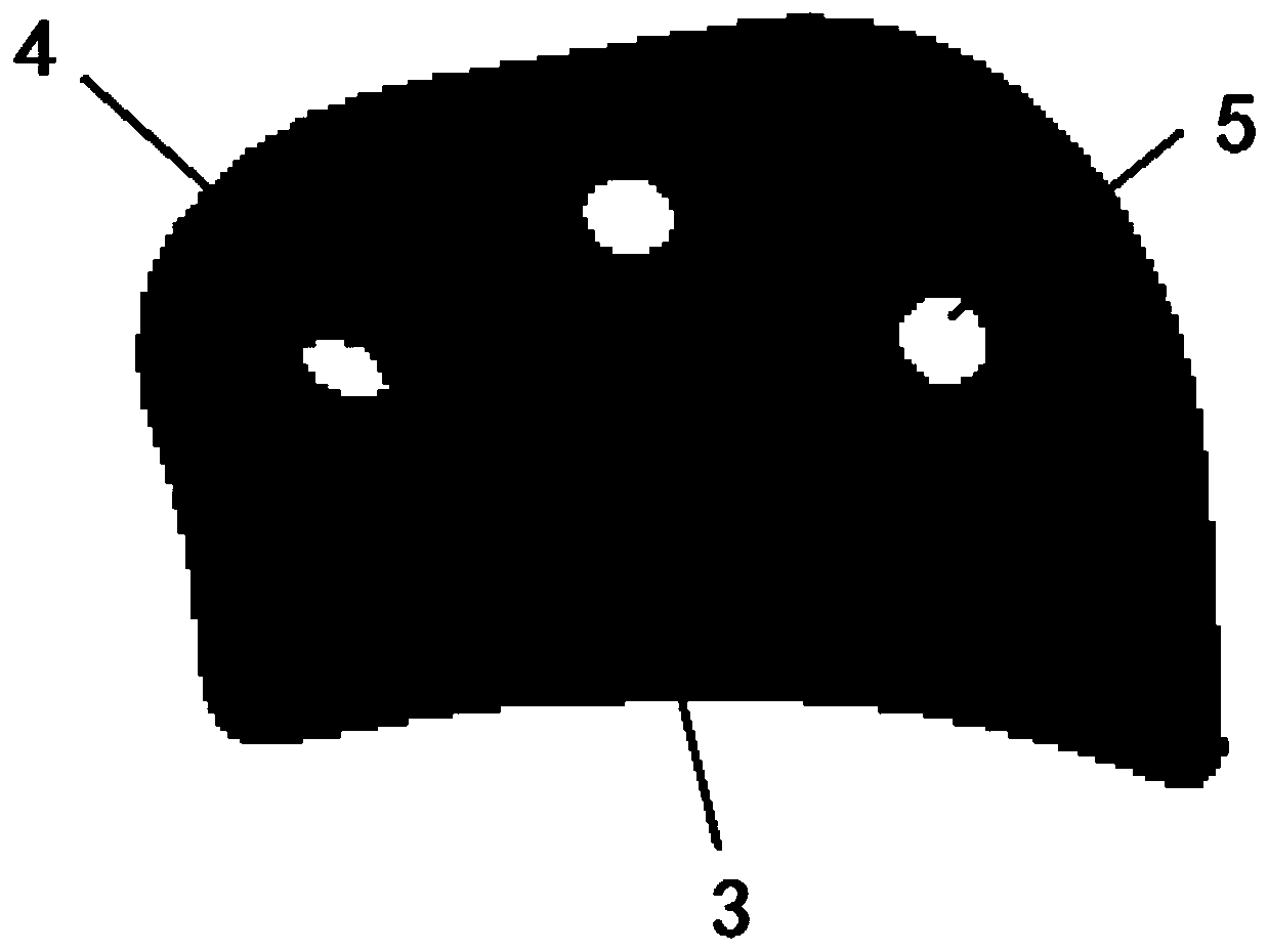 Acetabular roof prosthesis and making method thereof