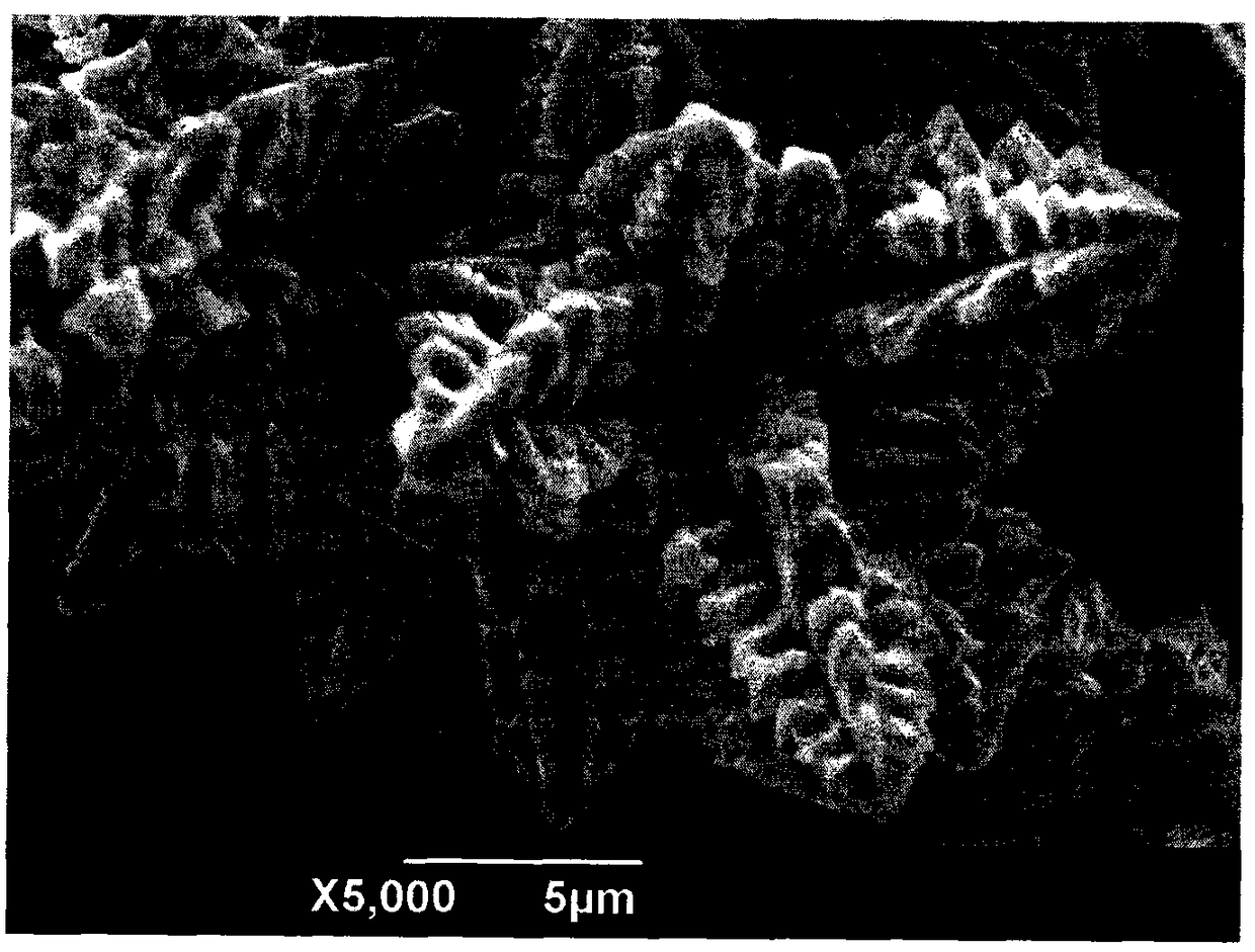 An electrochemical method for preparing copper dendrite superhydrophobic surface