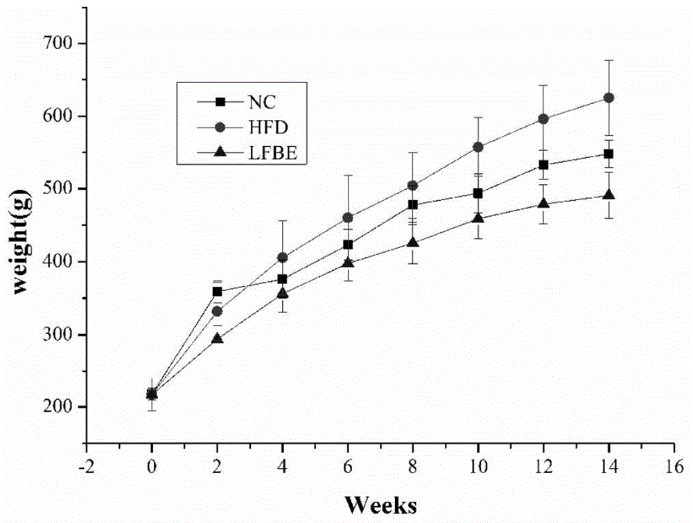 Lactobacillus-fermented barley extract as well as preparation method and application thereof