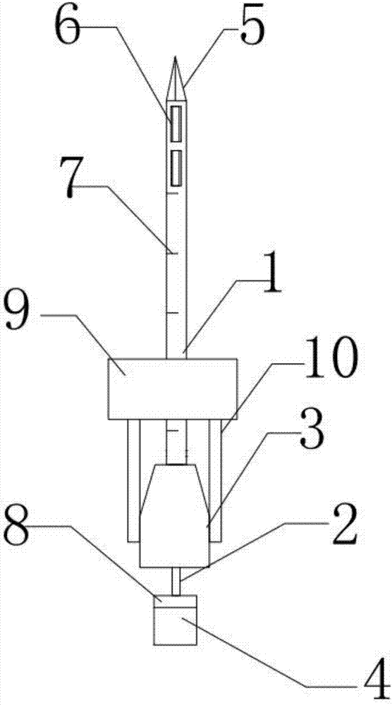 Dental pulp cavity paste filling apparatus