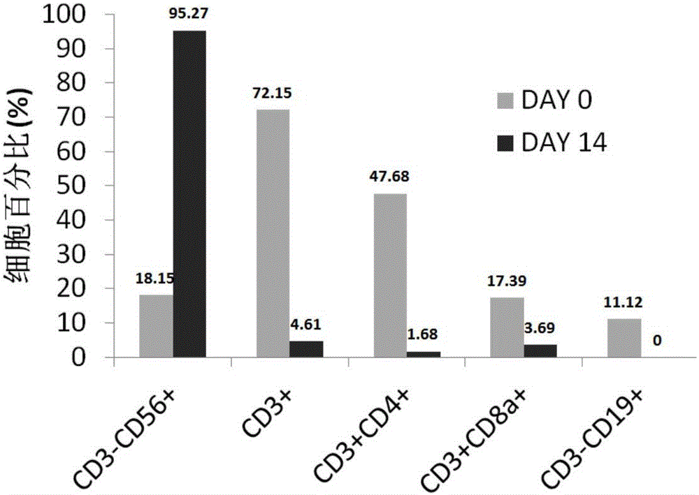 In vitro induction amplification, freeze preservation and anabiosis method of immune cells