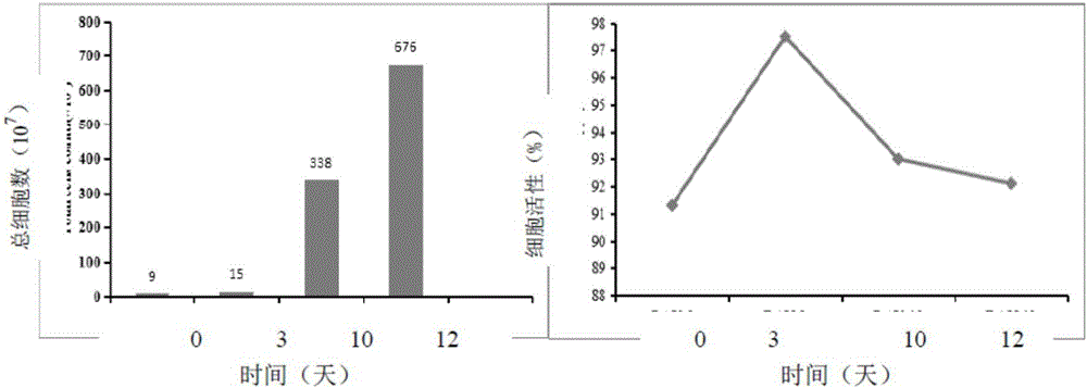 In vitro induction amplification, freeze preservation and anabiosis method of immune cells