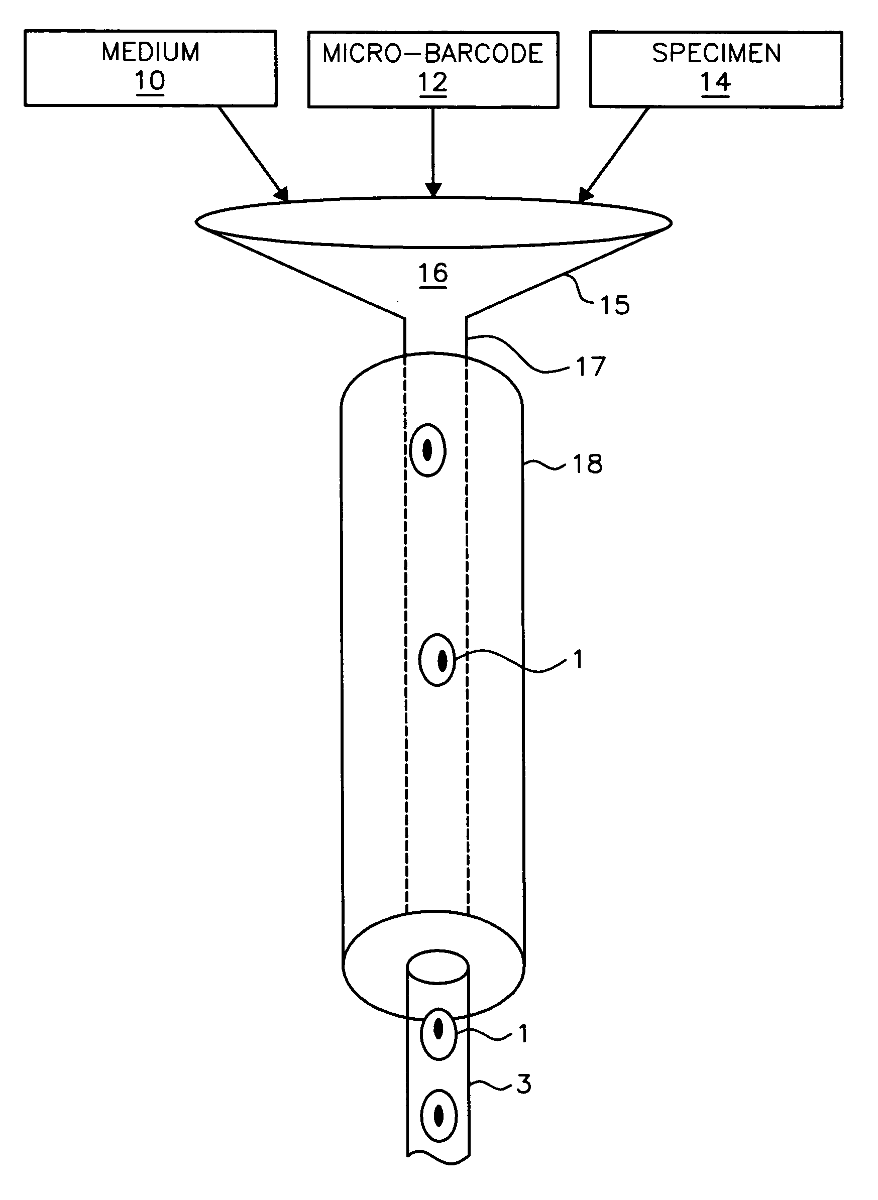 System and method for preparation of cells for 3D image acquisition