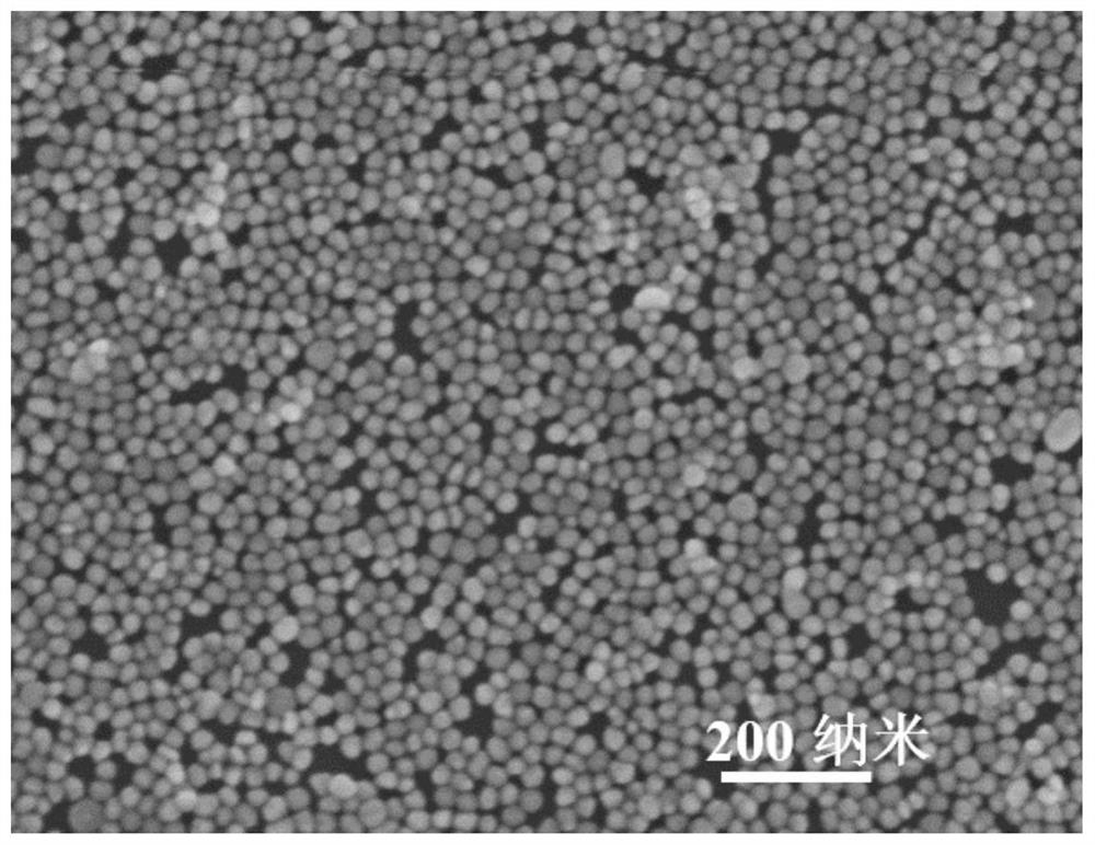 Plasma metal-semiconductor composite film, preparation method thereof and application of plasma metal-semiconductor composite film in non-edible pigment detection