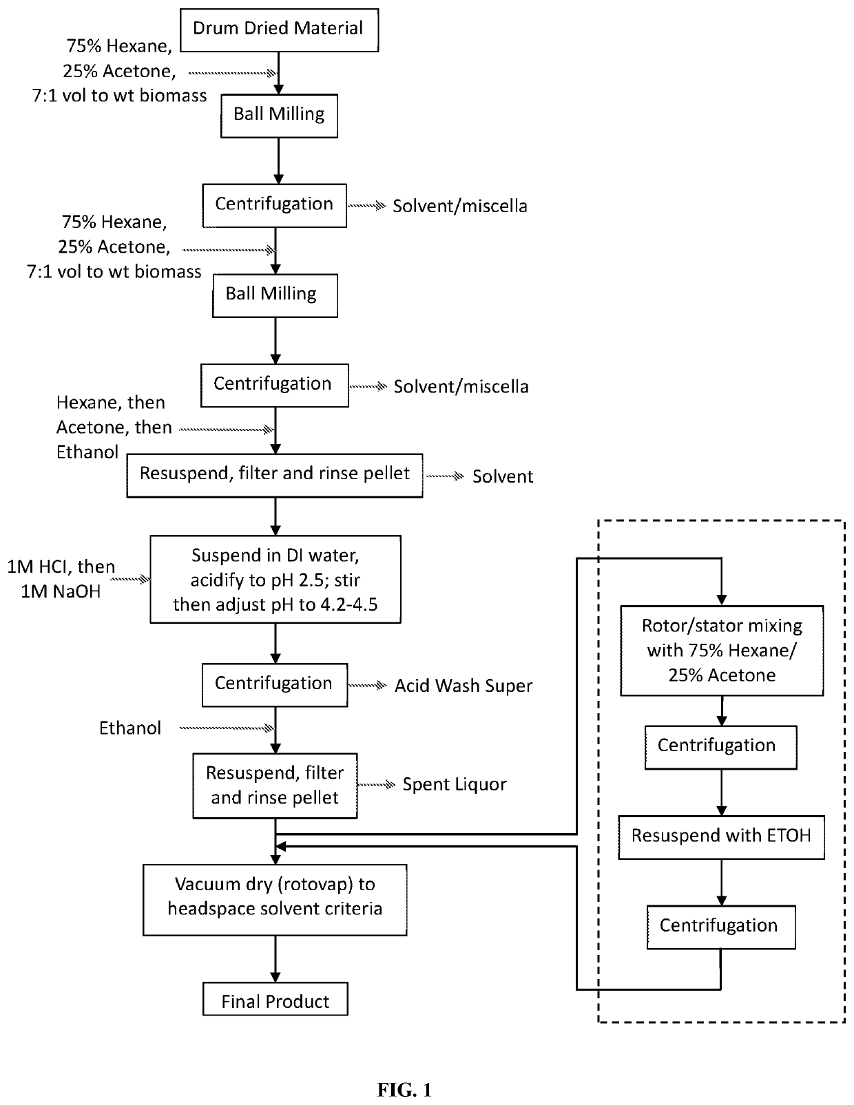 Protein rich food ingredient from biomass and methods of production