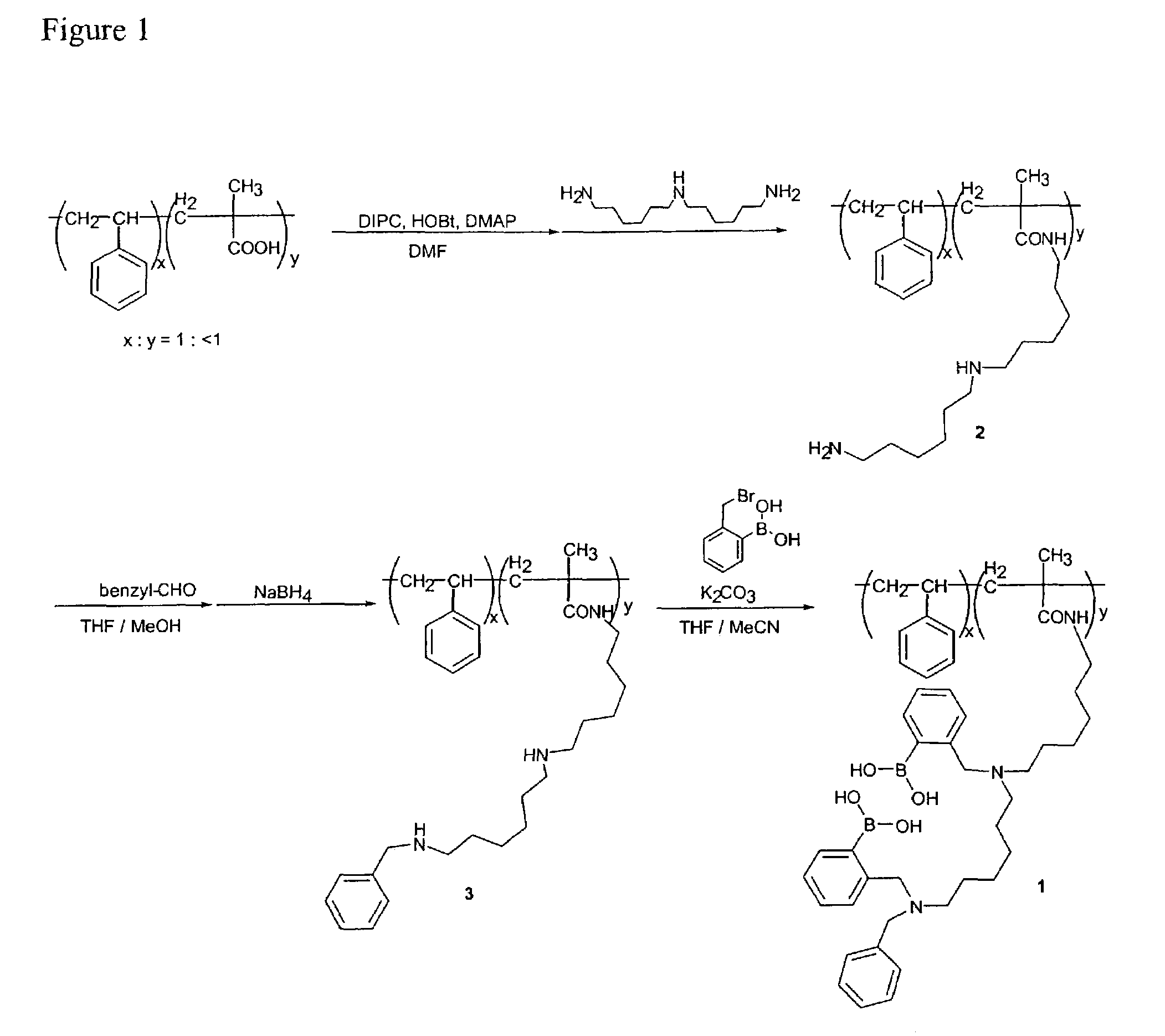 Sensor system for saccharides