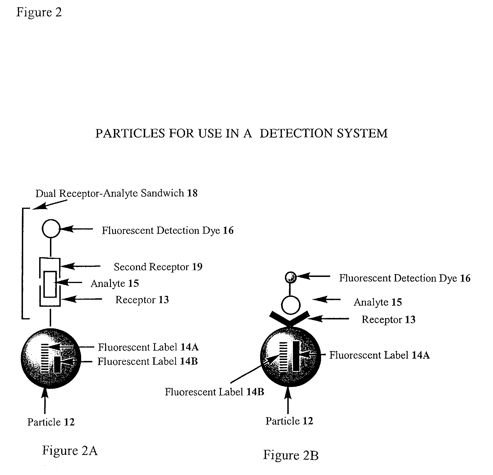 Sensor system for saccharides