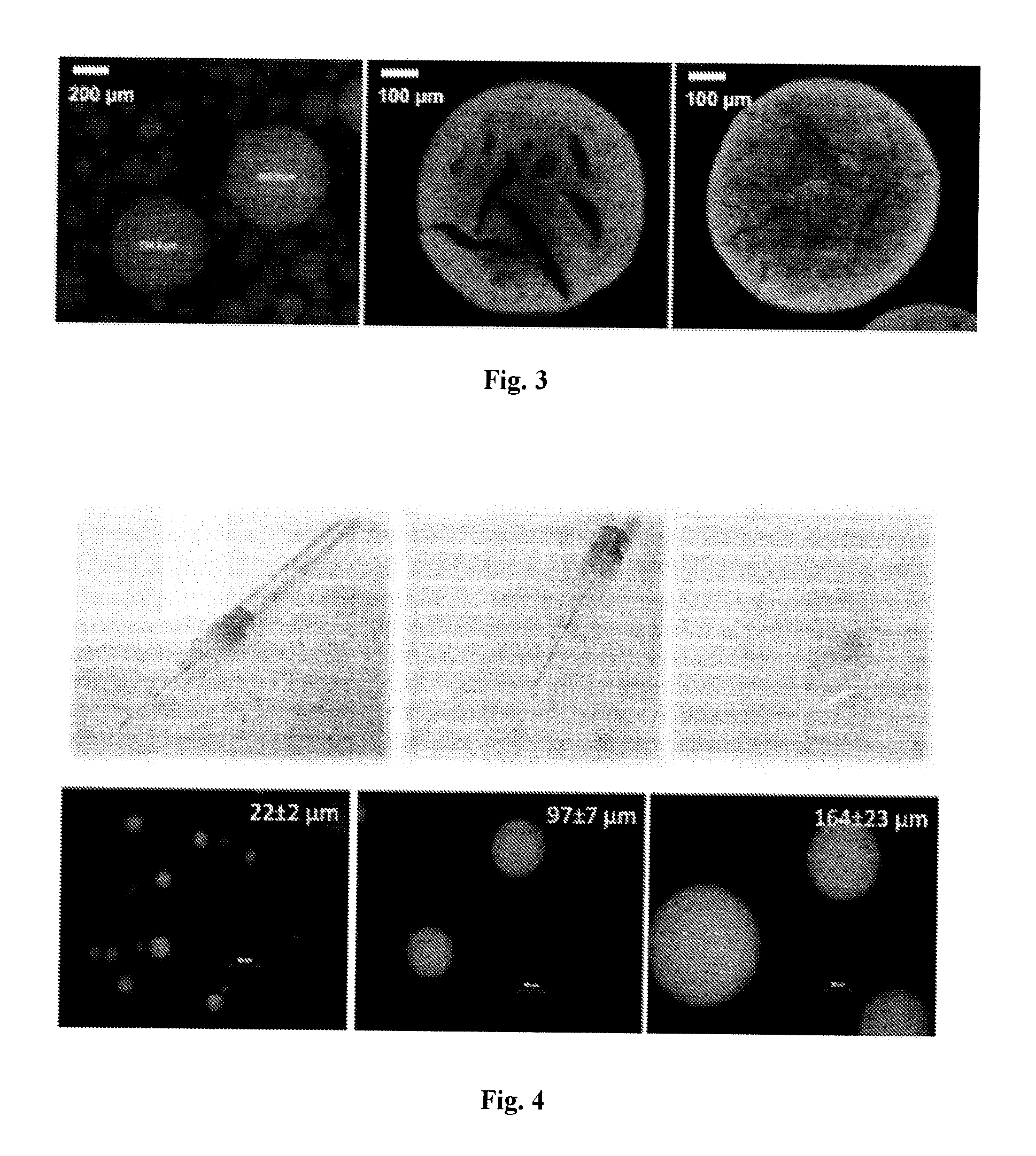 Crosslinked Polysaccharide Beads and Their Biomedical Uses