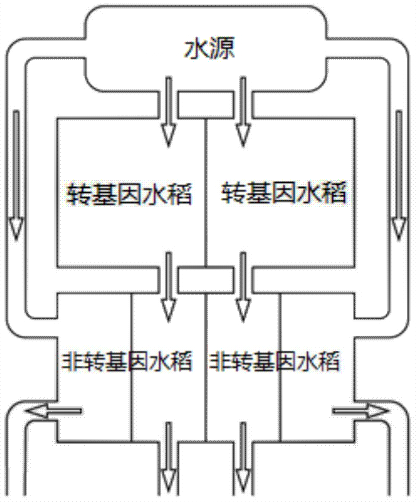 A method for evaluating the safety of the aquatic environment of transgenic insect-resistant rice