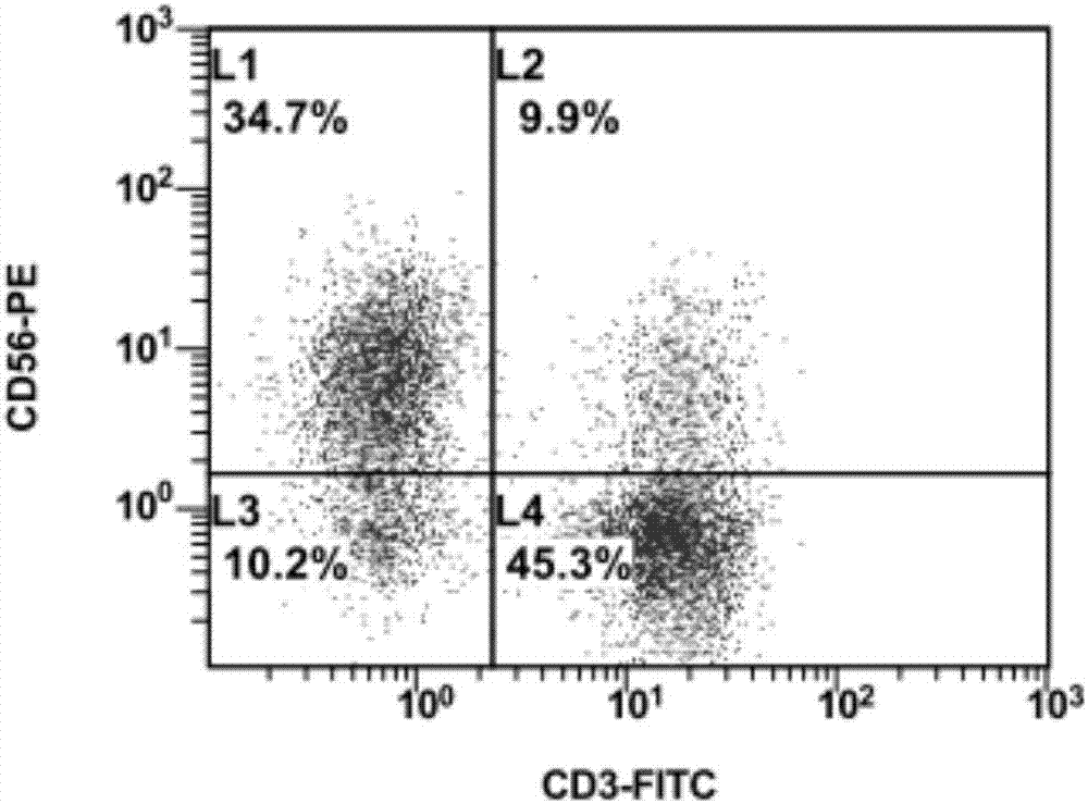 Rapid amplification method of natural killer cells